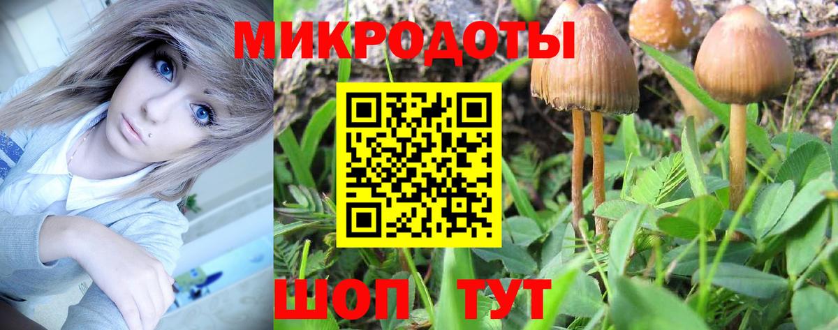 Ессентуки  Галлюциногенные грибы Psilocybine cubensis  Вход с VPN 